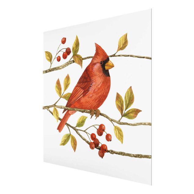 Glasschilderijen Birds And Berries - Northern Cardinal