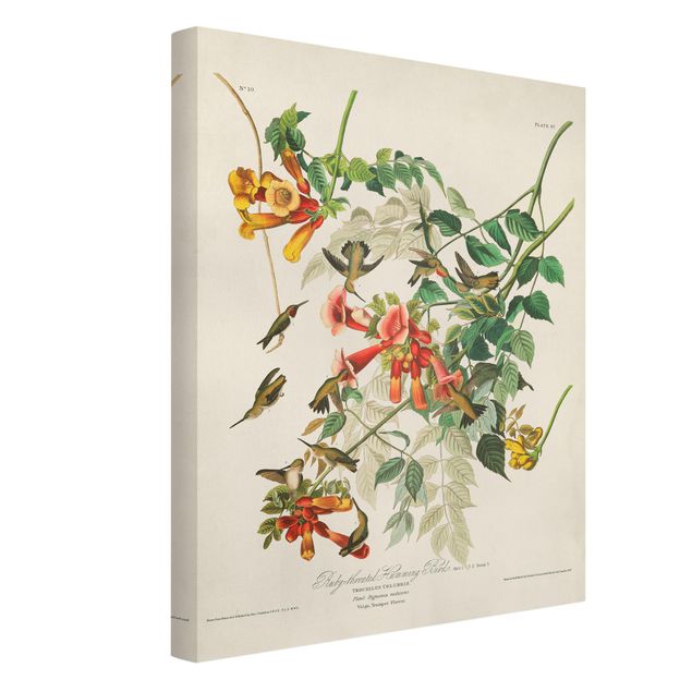 Canvas schilderijen Vintage Board Hummingbirds