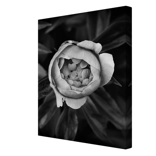 Canvas schilderijen Peonies In Front Of Leaves Black And White