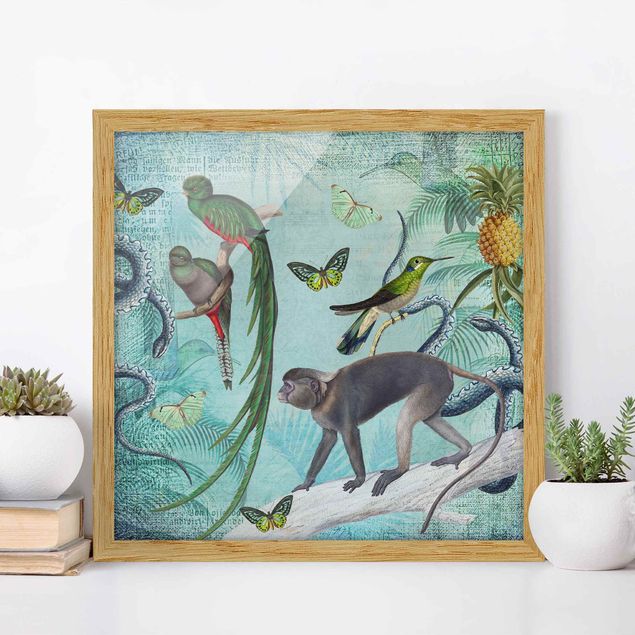 Ingelijste posters Colonial Style Collage - Monkeys And Birds Of Paradise