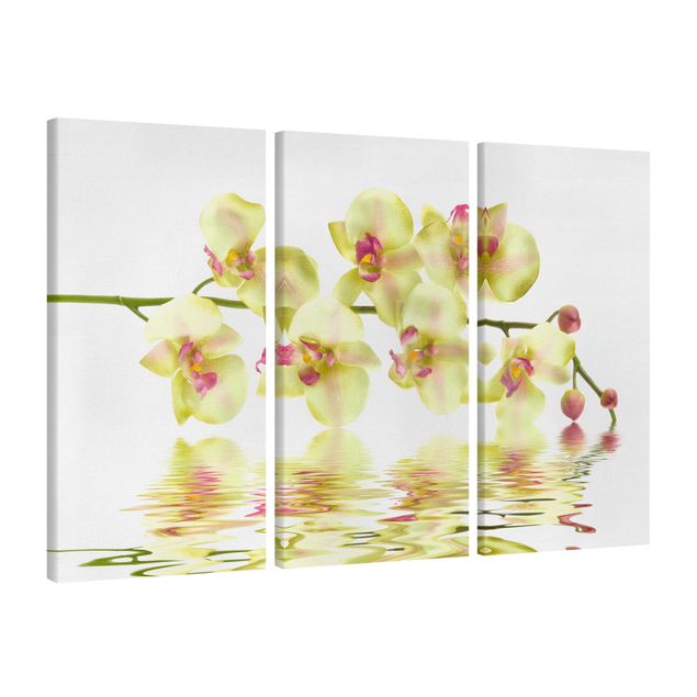 Canvas schilderijen - 3-delig Dreamy Orchid Waters