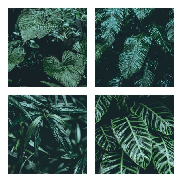 Canvas schilderijen - 4-delig Tropical Plants
