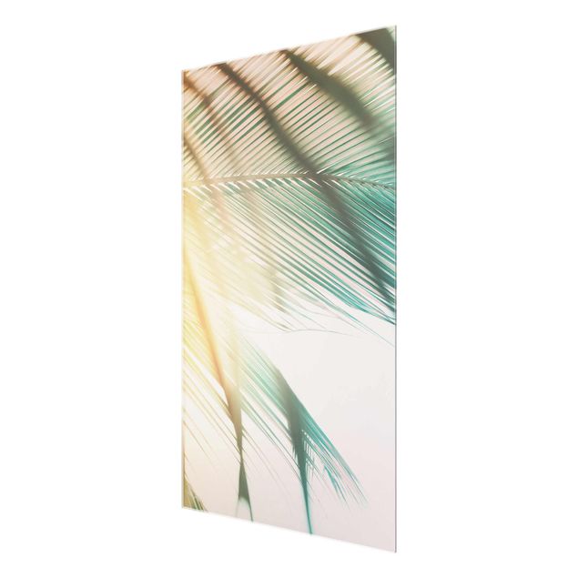 Glasschilderijen Tropical Plants Palm Trees At Sunset II