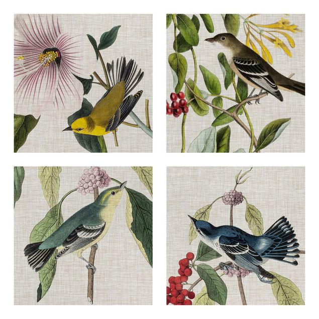 Canvas schilderijen - 4-delig Birds On Linen Set II