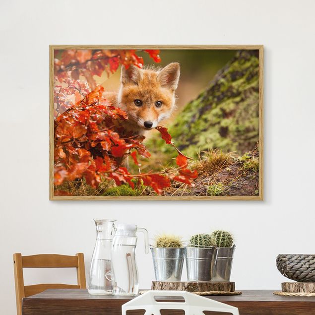 Ingelijste posters Fox In Autumn