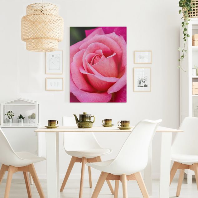 Canvas schilderijen Pink Rose Flowers Green Backdrop