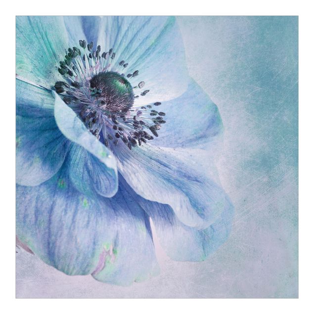 Fotobehang Flower In Turquoise