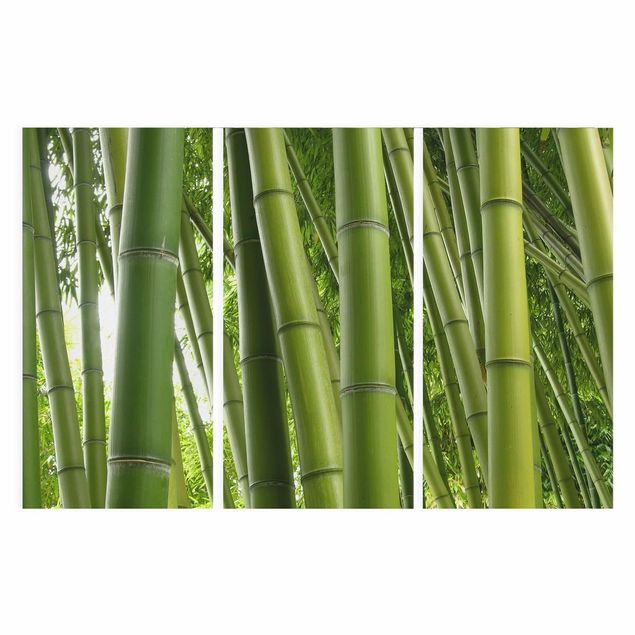 Canvas schilderijen - 3-delig Bamboo Trees
