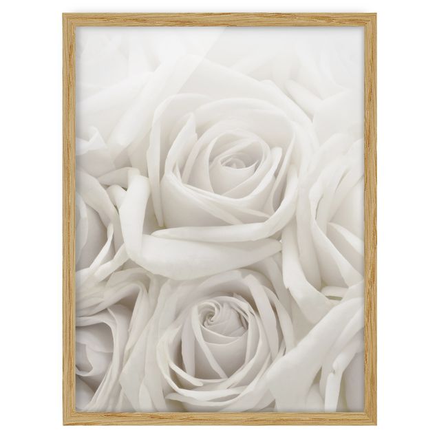 Ingelijste posters White Roses