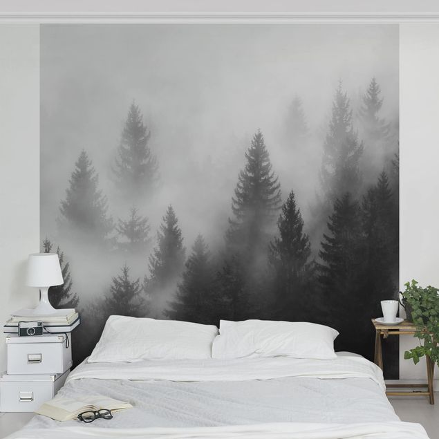 Fotobehang Coniferous Forest In The Fog Black And White