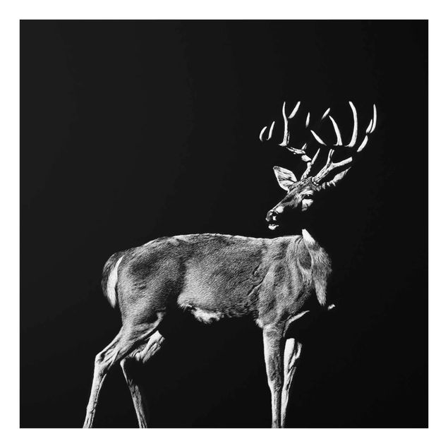 Glasschilderijen Deer In The Dark