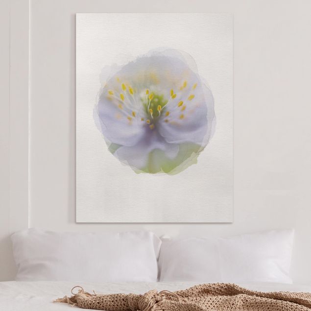 Canvas schilderijen WaterColours - Anemones Beauty