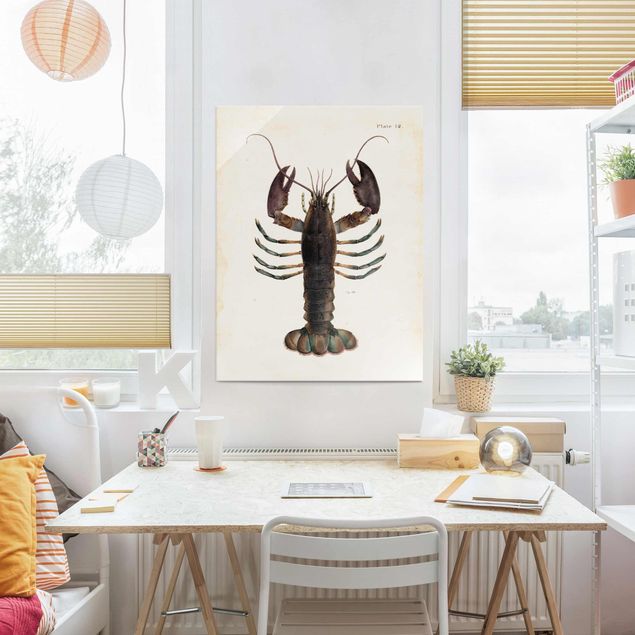 Glasschilderijen Vintage Illustration Lobster