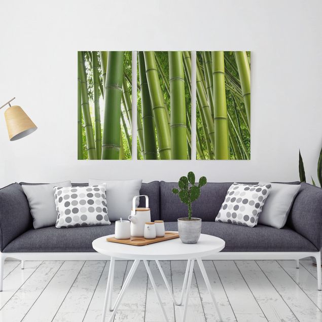 Canvas schilderijen - 3-delig Bamboo Trees