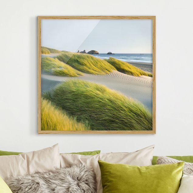 Ingelijste posters Dunes And Grasses At The Sea