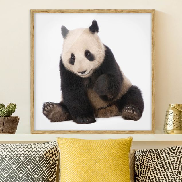 Ingelijste posters Panda Paws