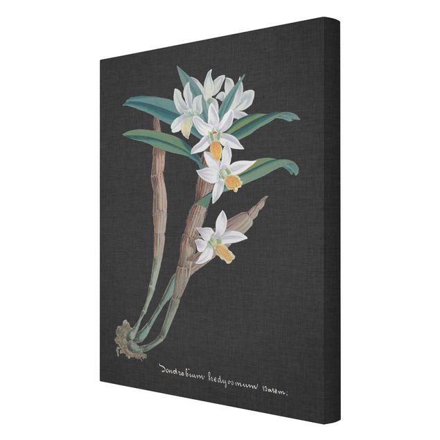 Canvas schilderijen White Orchid On Linen I