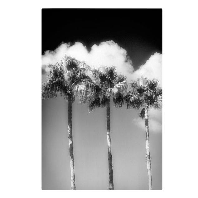 Canvas schilderijen Palm Trees Against The Sky Black And White