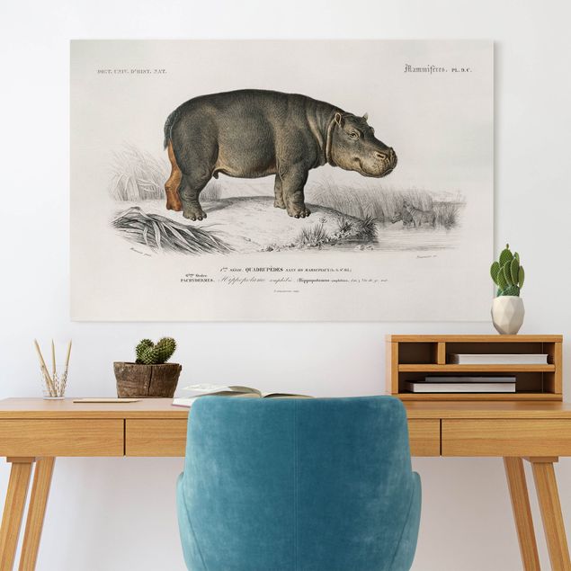 Canvas schilderijen Vintage Board Hippo