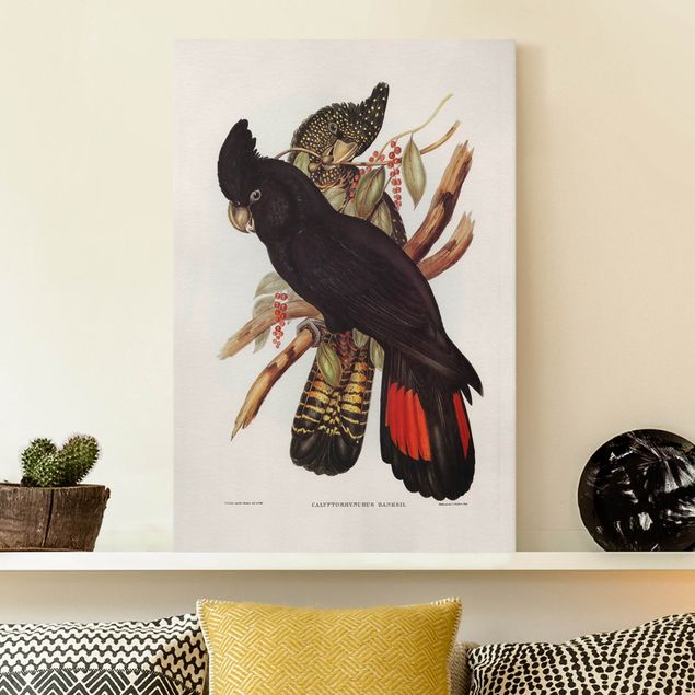 Canvas schilderijen Vintage Illustration Black Cockatoo Black Gold