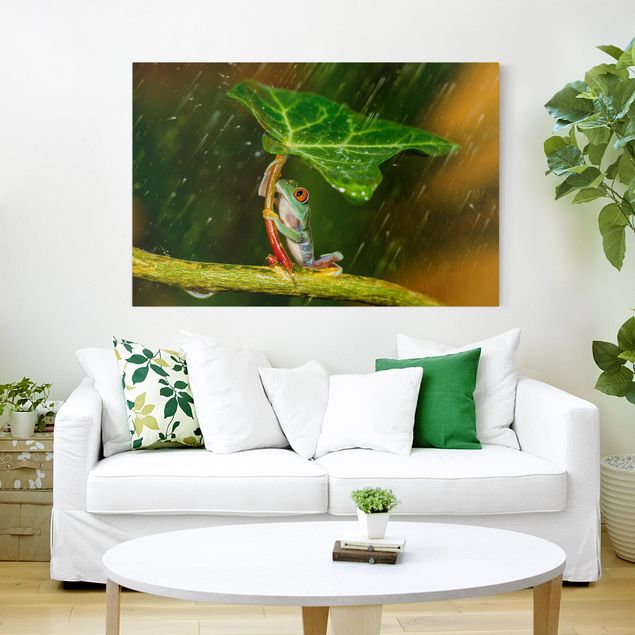 Canvas schilderijen Frog In The Rain