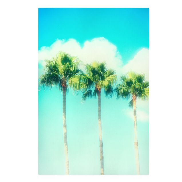 Canvas schilderijen Palm Trees Against Blue Sky