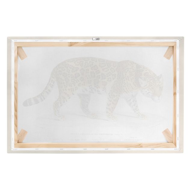 Canvas schilderijen Vintage Board Jaguar