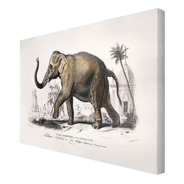 Canvas schilderijen Vintage Board Elephant