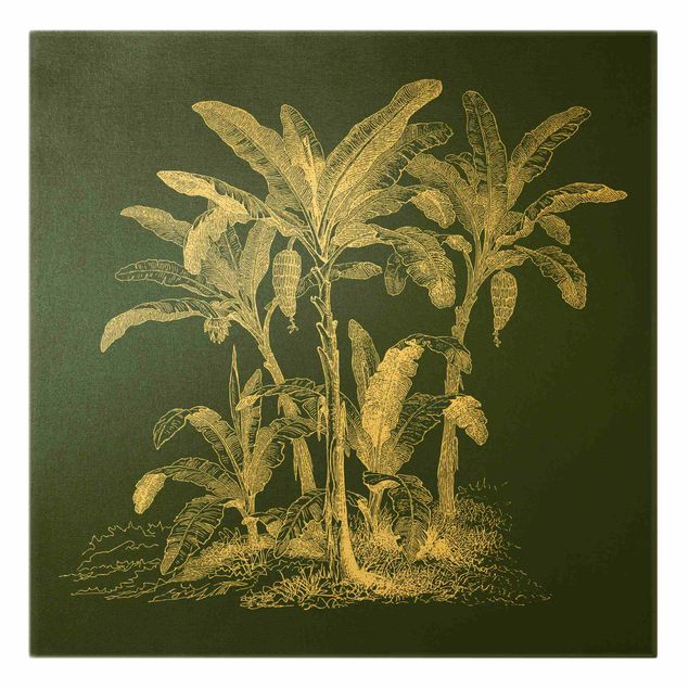 Canvas schilderijen - Goud Illustration Banana Trees On Green