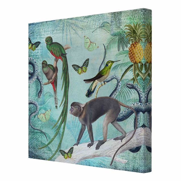 Canvas schilderijen Colonial Style Collage - Monkeys And Birds Of Paradise