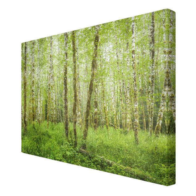 Canvas schilderijen Hoh Rainforest Olympic National Park