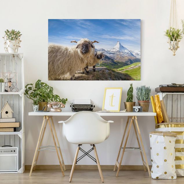 Canvas schilderijen Blacknose Sheep Of Zermatt