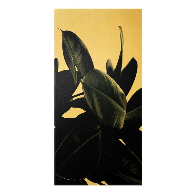 Canvas schilderijen - Goud Rubber Tree Dark Green