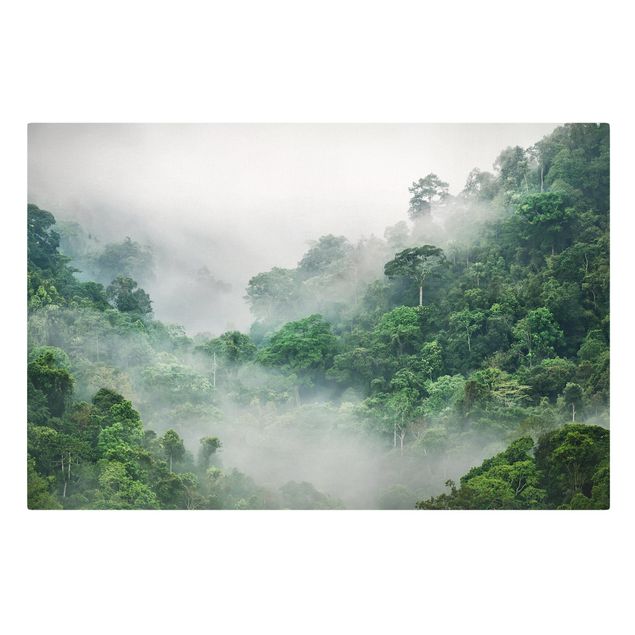 Canvas schilderijen Jungle In The Fog