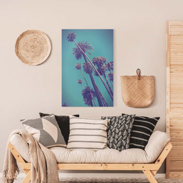 Canvas schilderijen Tropical Plants Palm Trees And Sky
