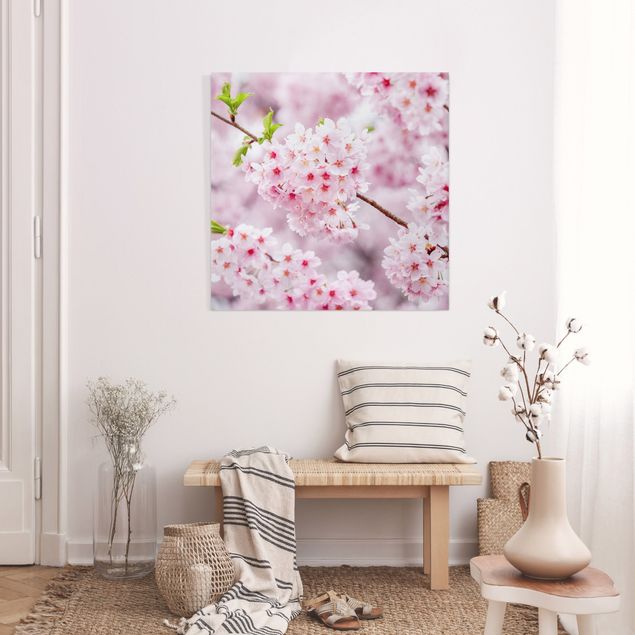 Canvas schilderijen Japanese Cherry Blossoms