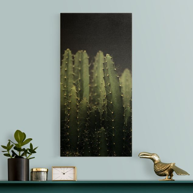 Canvas schilderijen - Goud Desert Cactus At Night