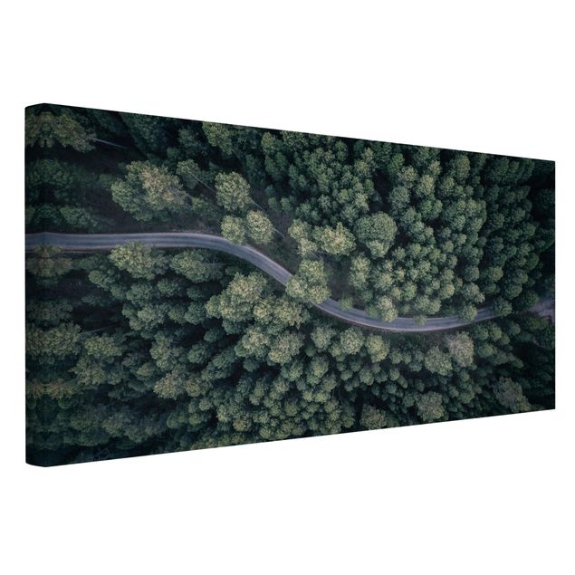 Canvas schilderijen Aerial View - Forest Road From The Top