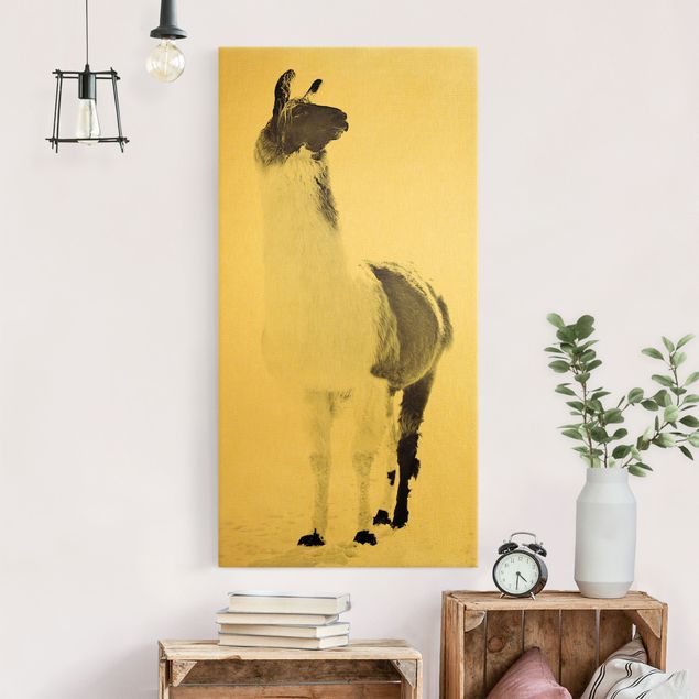 Canvas schilderijen - Goud Fluffy llama