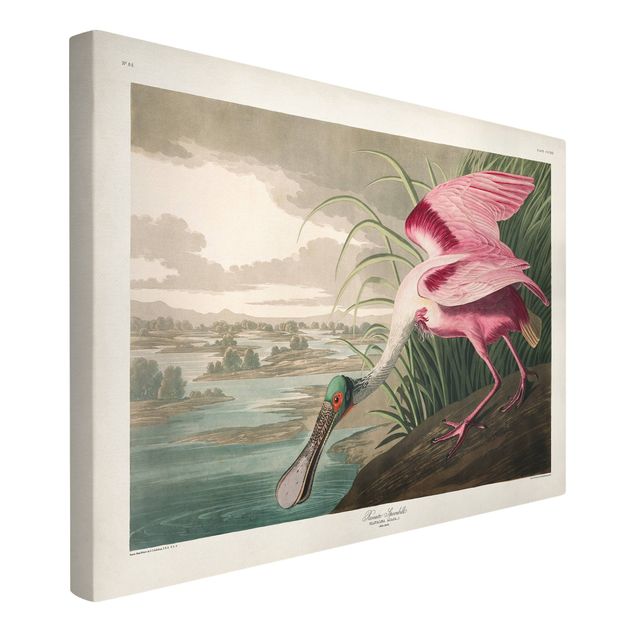 Canvas schilderijen Vintage Board Pink Sturgeon