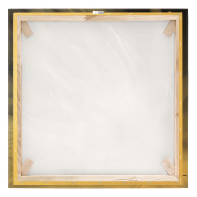 Canvas schilderijen - Goud Pollen Black And White