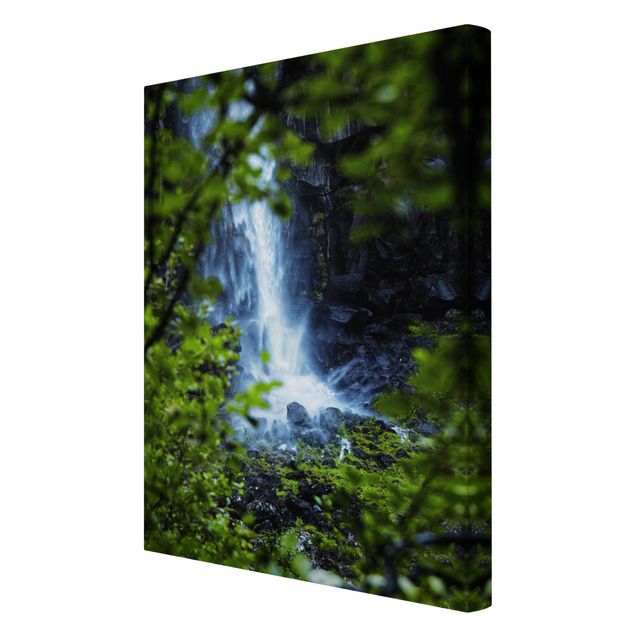 Canvas schilderijen View Of Waterfall