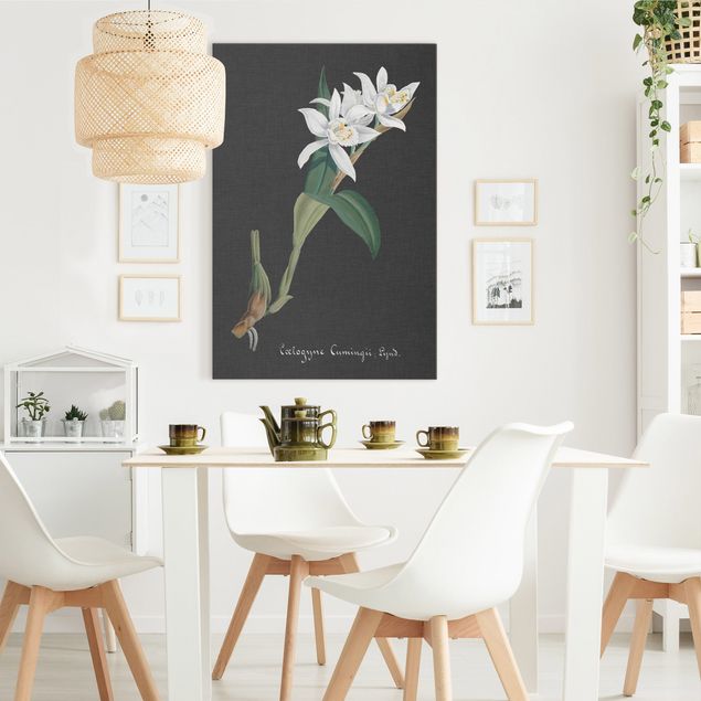 Canvas schilderijen White Orchid On Linen II