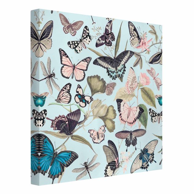 Canvas schilderijen Vintage Collage - Butterflies And Dragonflies