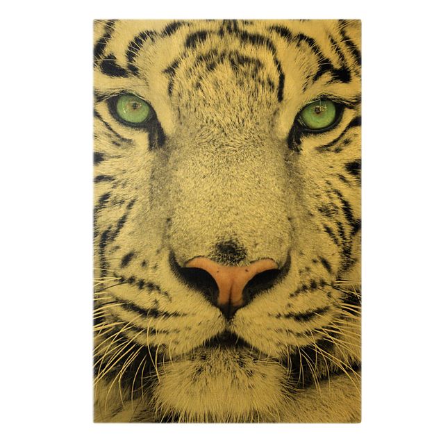 Canvas schilderijen - Goud White Tiger