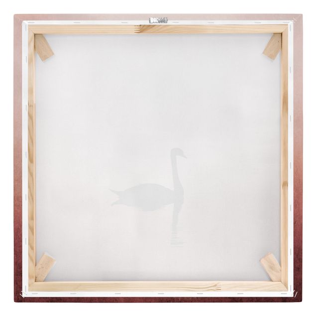 Canvas schilderijen Swan In Sunset
