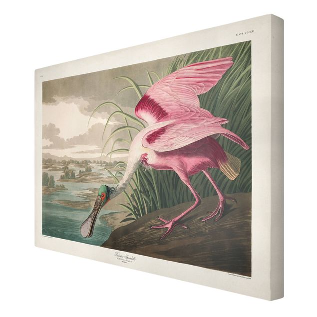 Canvas schilderijen Vintage Board Pink Sturgeon
