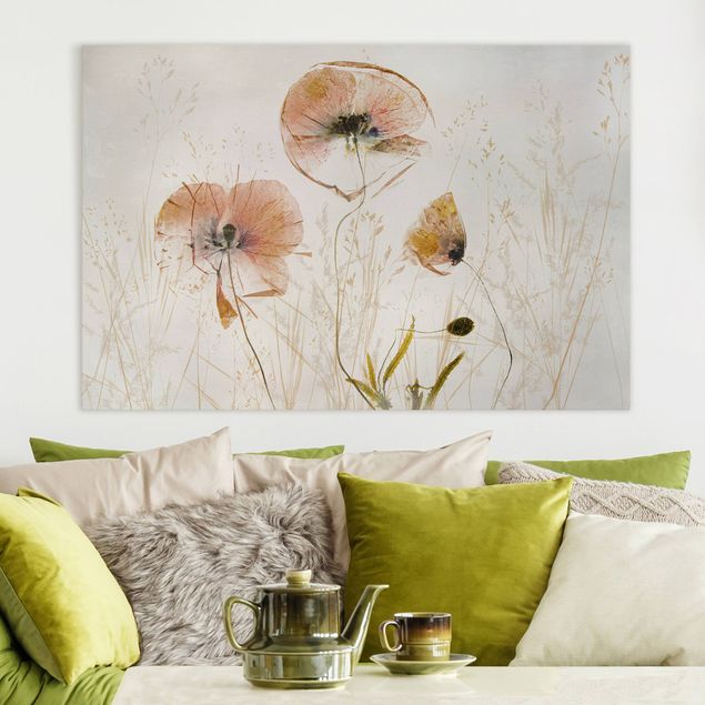 Canvas schilderijen Dried Poppy Flowers With Delicate Grasses