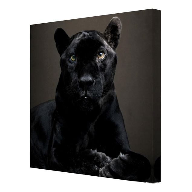 Canvas schilderijen Black Puma
