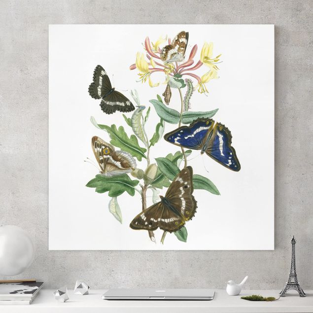 Canvas schilderijen British Butterflies IV